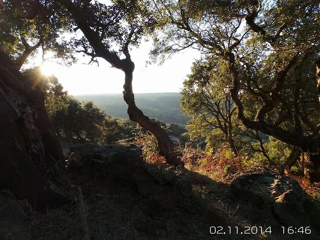 Appartamento Tarragona 알게로 이탈리아